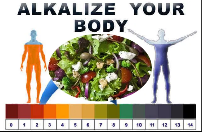 Body ALKALINITY - What does it tell me?