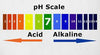 Alkaline & Acid Levels In The Body