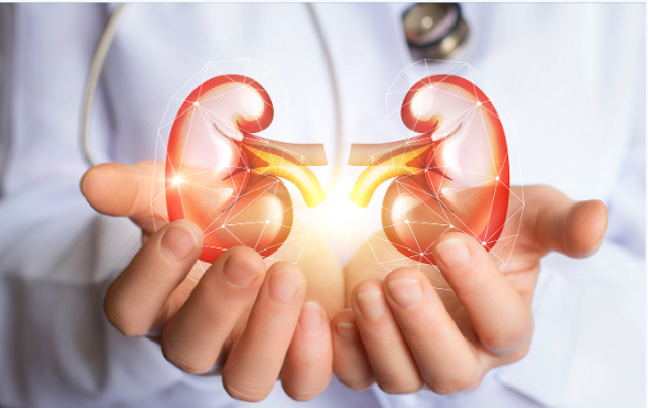 Staying Alert: Early Detection of Kidney Problems