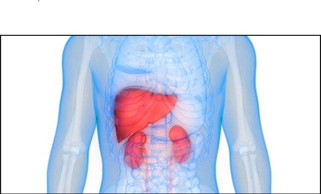 Kidney and Liver Health Check - This is how I do it